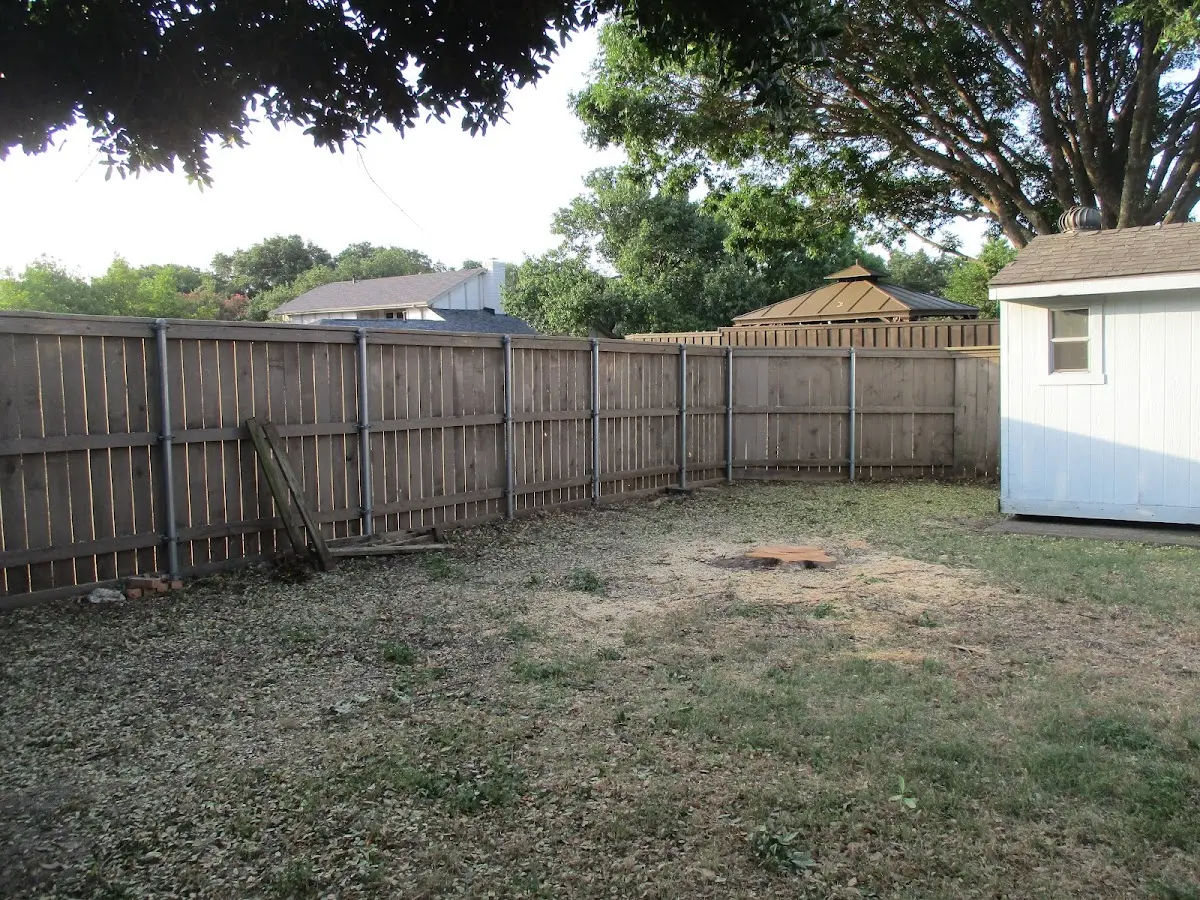 Cleared yard after professional tree removal in Coffeeville