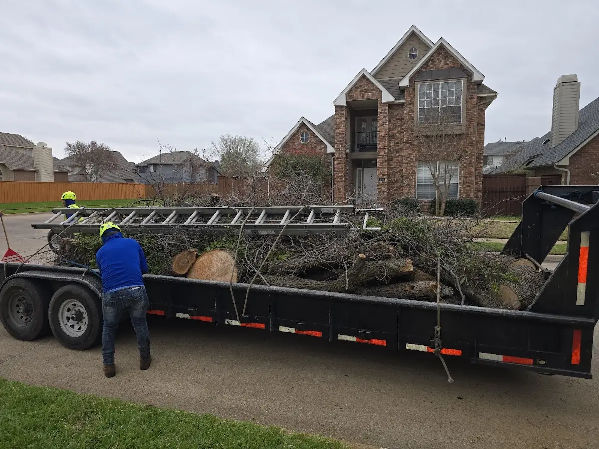 Expert Tree Removal with proper safety equipment in Coffeeville